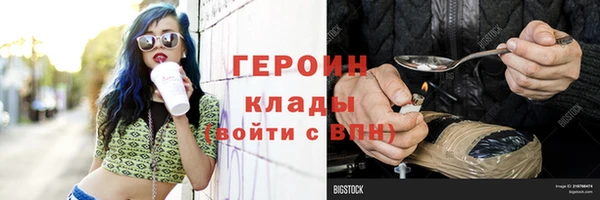 хмурый Арсеньев