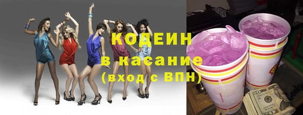 хмурый Арсеньев