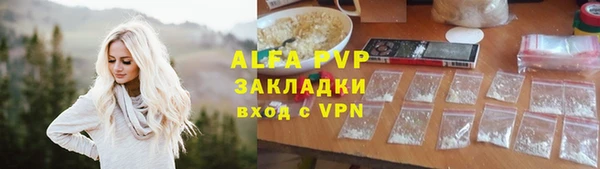 хмурый Арсеньев