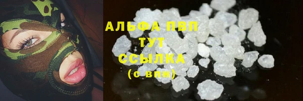 хмурый Арсеньев