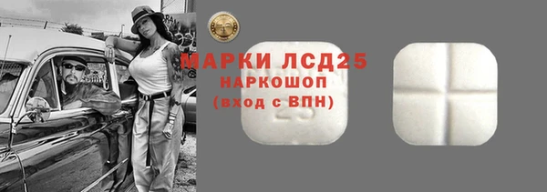 хмурый Арсеньев