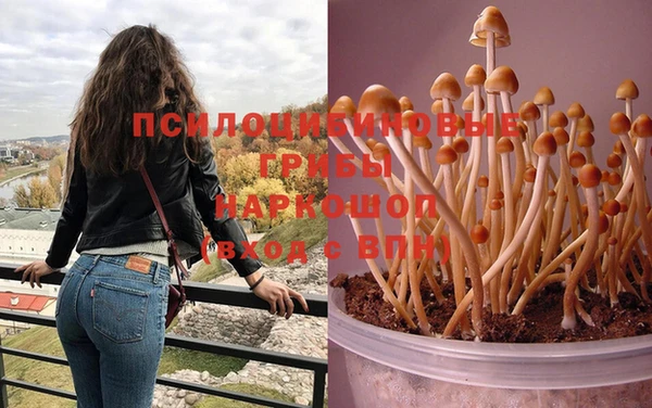 хмурый Арсеньев