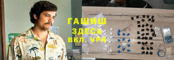 хмурый Арсеньев